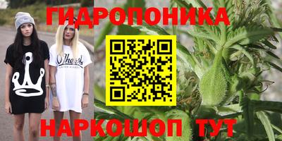 стаф Конаково